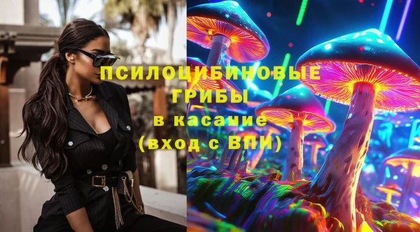 соль ск Осинники