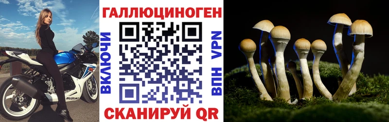 Галлюциногенные грибы GOLDEN TEACHER  что такое   Шарыпово 