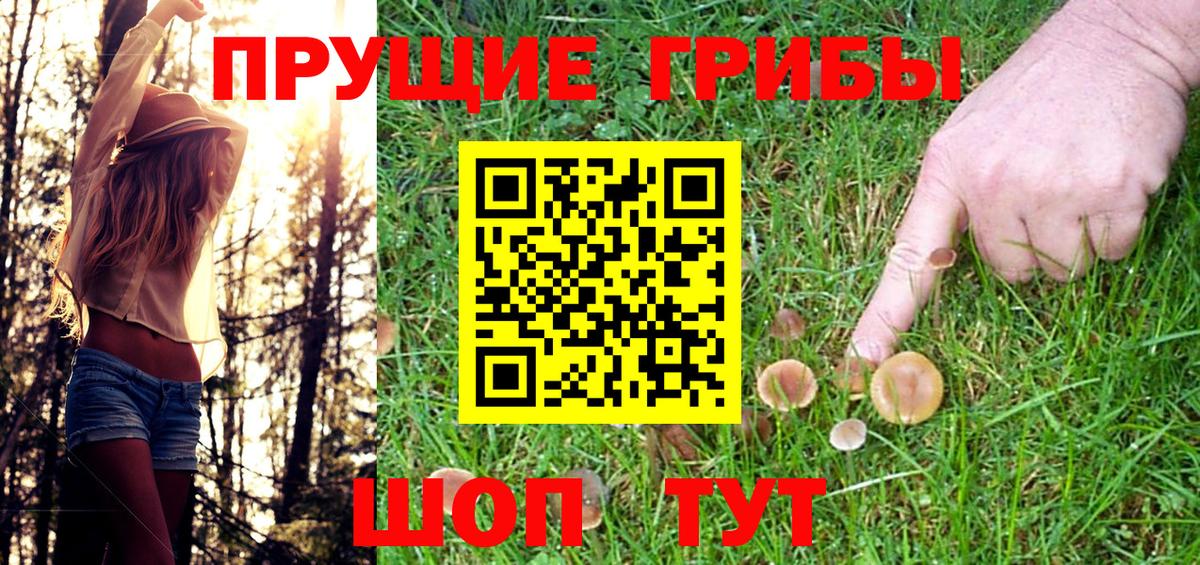 Галлюциногенные грибы ЛСД  Вход с VPN  Псилоцибиновые грибы Psilocybe  Шарыпово 